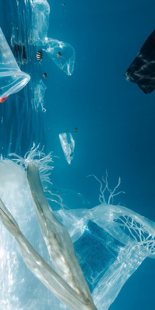 Detail tips: 6 Tips Mengurangi Sampah Plastik yang Wajib Anda Coba! - bagian 2